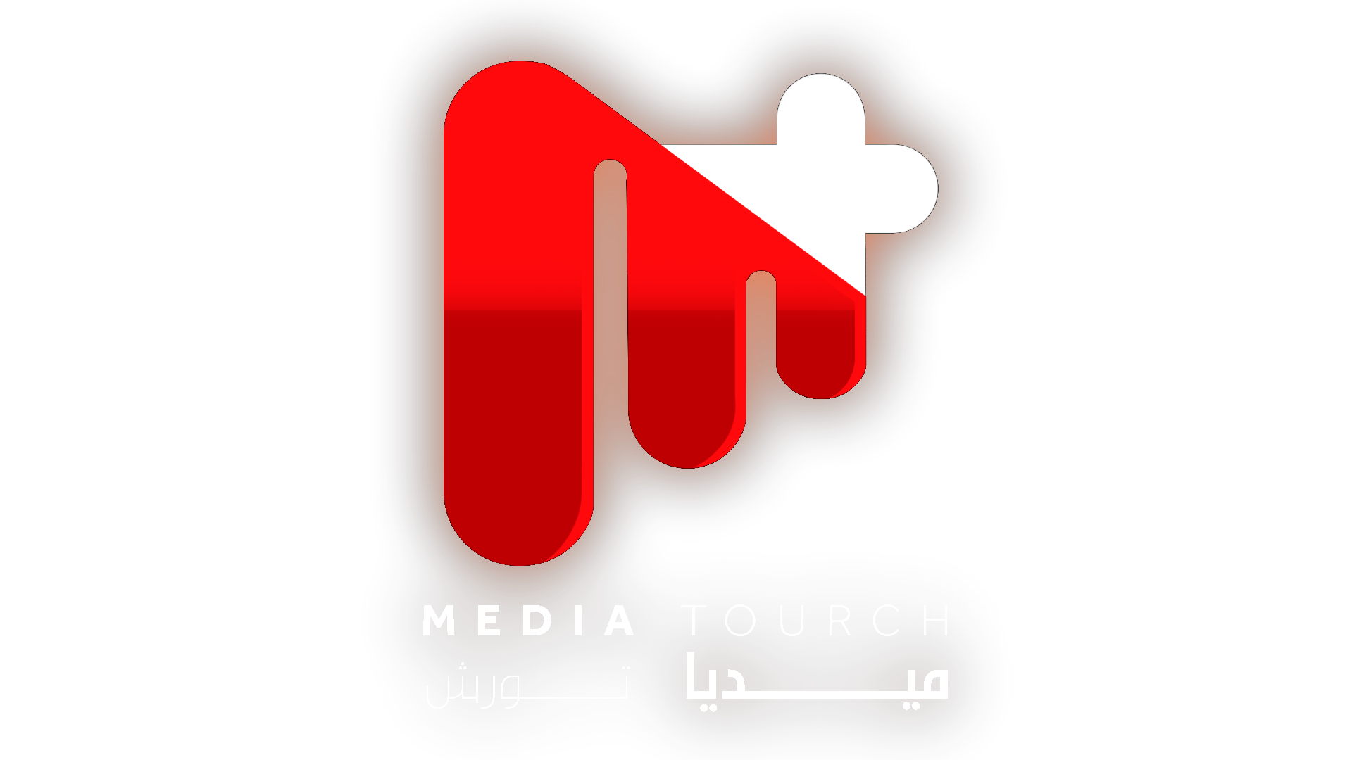 ميديا تورش